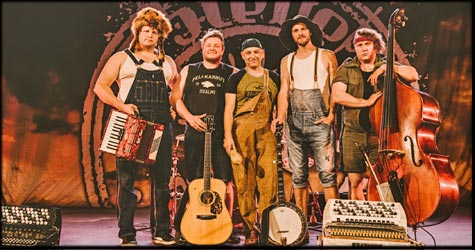 Steve 'N Seagulls